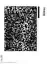 Fig. 19 - Ultrafine zinc oxide particle dispersion solution, method for producing the ultrafine zinc oxide particle dispersion solution, and zinc oxide thin film