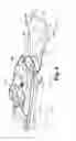 Fig. 07 - Hull safety and protective device