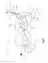 Fig. 05 - Portable apparatus for milking animals