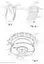 Fig. 04 - Roller cone disk with shaped compacts