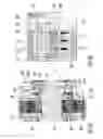 Fig. 06 - MULTIPLE DISK CLUTCH