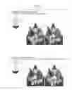 Fig. 02 - PACKAGE OF GOODS ATTACHED WITH IMAGE FOR FORMING THREE-DIMENSION IMAGE