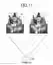 Fig. 10 - PACKAGE OF GOODS ATTACHED WITH IMAGE FOR FORMING THREE-DIMENSION IMAGE