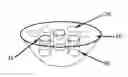 Fig. 01 - DECORATIVE SERVING TRAY WITH FREEZABLE INSERTS