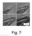 Fig. 08 - Method and apparatus for collecting fractions of mixtures, suspensions, and solutions of non-polar liquids