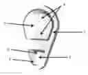 Fig. 01 - Ring pull can cap