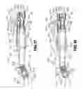 Fig. 07 - Volume metered pour spout