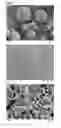 Fig. 06 - Process for the preparation of crystalline lithium-, iron- and phosphate-comprising materials