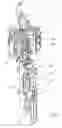 Fig. 02 - Method and device for blow-molding containers