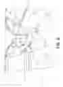 Fig. 07 - Device for removing a person in a life-threatening situation and method for use
