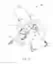 Fig. 29 - Foldable frame with detachable infant carrier capable of reclining the infant carrier