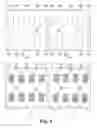 Fig. 05 - Miniature magnetic switch structures