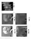 Fig. 09 - Methods and systems of generating a three dimensional model based on a plurality of images