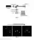 Fig. 02 - High-resolution 3D imaging of single semiconductor nanocrystals
