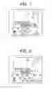 Fig. 07 - Image pickup apparatus with white balance extraction