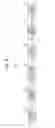 Fig. 09 - Image acquisition apparatus and image acquisition method