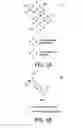 Fig. 02 - Method and system of communication employing spatial reuse reservation protocol