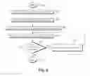 Fig. 07 - Wavelet detector for finding similarities between major boundaries in images