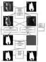 Fig. 01 - Real-time image and video matting