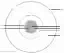 Fig. 01 - MULTI-CLAD OPTICAL FIBER