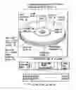 Fig. 01 - Information storage medium and information recording/playback system