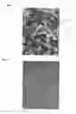 Fig. 02 - Metastable beta-titanium alloys and methods of processing the same by direct aging