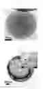 Fig. 06 - Nickel-carbonitride spheres and method of making the same