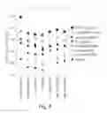 Fig. 06 - Alkyne-assisted nanostructure growth