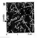 Fig. 01 - Separation of carbon nanotubes in density gradients