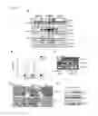 Fig. 06 - Composition for treatment and improvement of diabetes comprising caveolin as active ingredient and a method for treatment of diabetes using it