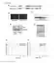 Fig. 07 - Composition for treatment and improvement of diabetes comprising caveolin as active ingredient and a method for treatment of diabetes using it