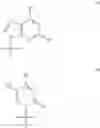 Fig. 08 - Modified fluorinated nucleoside analogues