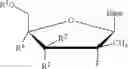 Fig. 09 - Modified fluorinated nucleoside analogues