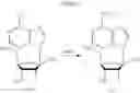 Fig. 49 - Modified fluorinated nucleoside analogues