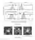 Fig. 09 - Device and Method for Transfecting Cells for Therapeutic Use