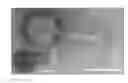Fig. 01 - Disinfectant composition comprising phage of 