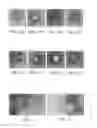 Fig. 02 - Disinfectant composition comprising phage of 