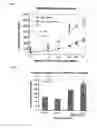 Fig. 06 - INHIBITORY POLYNUCLEOTIDE COMPOSITIONS AND METHODS FOR TREATING CANCER