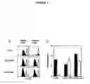Fig. 02 - TRAIL AND METHODS OF MODULATING T CELL ACTIVITY AND ADAPTIVE IMMUNE RESPONSES USING TRAIL
