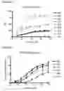Fig. 04 - Monoclonal antibodies against CD32B