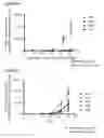 Fig. 07 - Monoclonal antibodies against CD32B