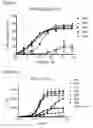 Fig. 08 - Monoclonal antibodies against CD32B