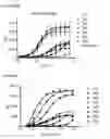 Fig. 09 - Monoclonal antibodies against CD32B