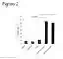 Fig. 03 - Compositions and methods to enhance the immune system
