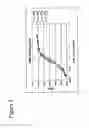 Fig. 06 - Antibodies to interleukin-6