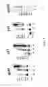 Fig. 02 - Cellular and viral inactivation