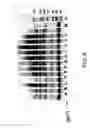 Fig. 09 - Cellular and viral inactivation