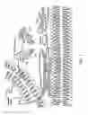 Fig. 02 - COMPLEXING SYSTEM