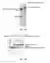 Fig. 13 - COMPLEXING SYSTEM