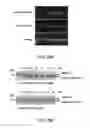 Fig. 23 - COMPLEXING SYSTEM